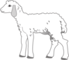 Fluffy Lamb Clip Art